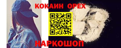 тгк Кингисепп