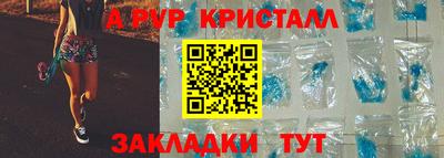 тгк Кингисепп