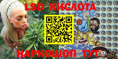 тгк Кингисепп