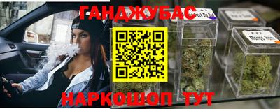 тгк Кингисепп