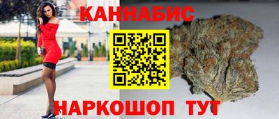 тгк Кингисепп