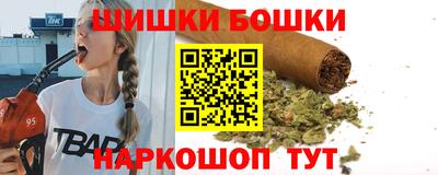 тгк Кингисепп