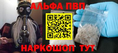 тгк Кингисепп