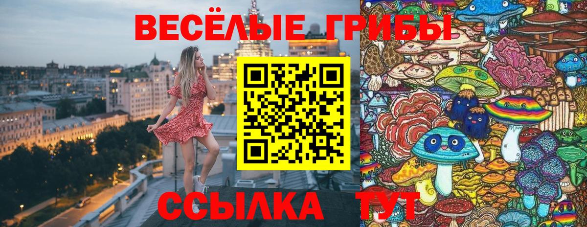 Галлюциногенные грибы GOLDEN TEACHER Краснокаменск